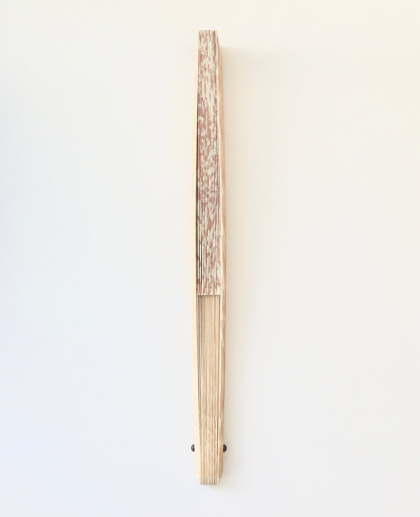 Abanico de Kioto × MUSUHI Crisantemo #KS-6