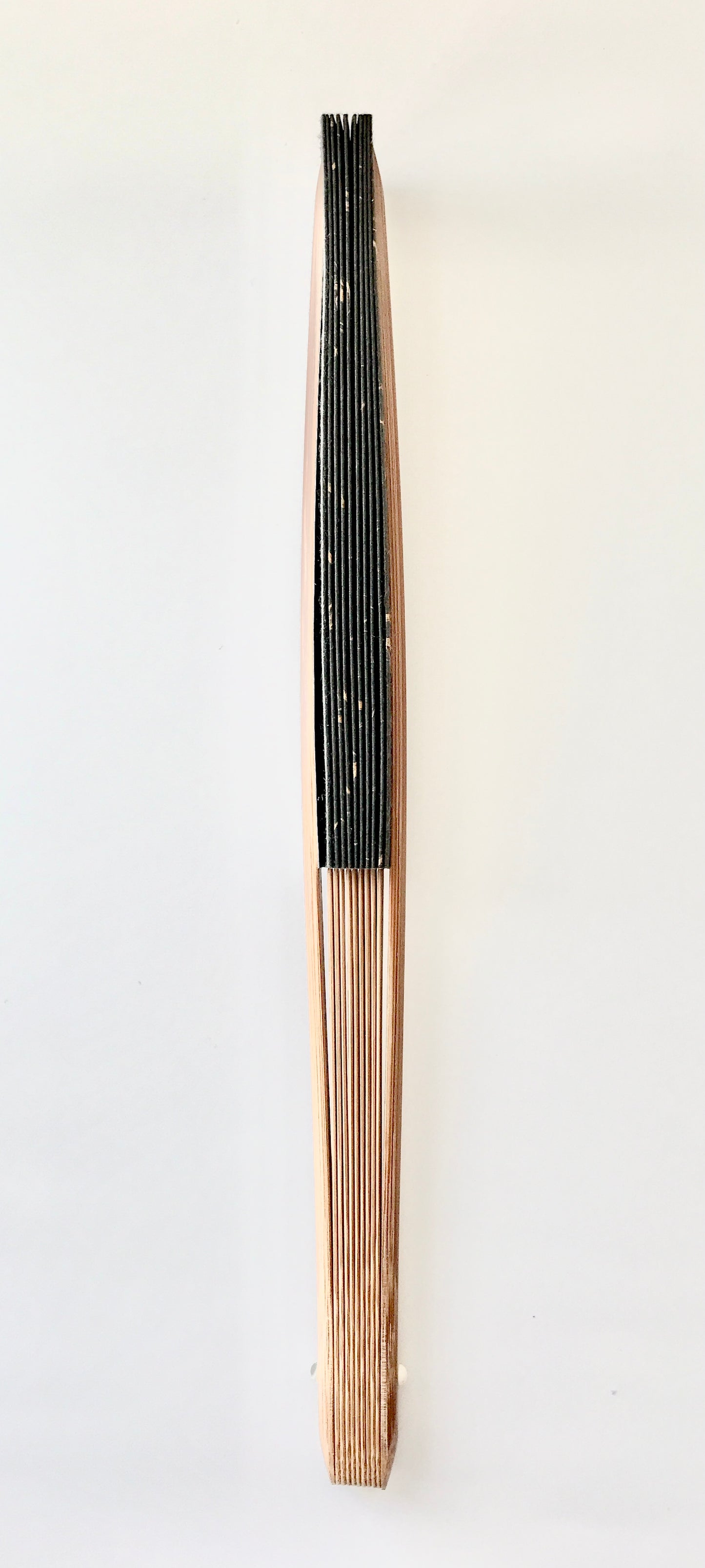 Kyo Sensu folding fan x Tosa Washi paper x MUSUHI: Dragon Soaring Through Clouds Gold & Black (L) #KS-2