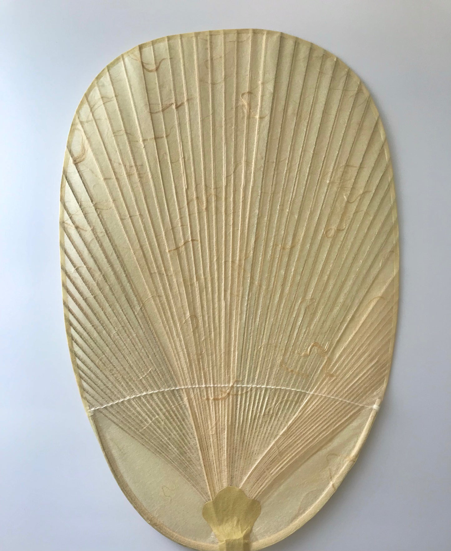 Marugame Uchiwa Traditional Craftsman Junko Mitani × Tosa Washi × MUSUHI Dragon Soaring Through Clouds (Gold) #MU-2
