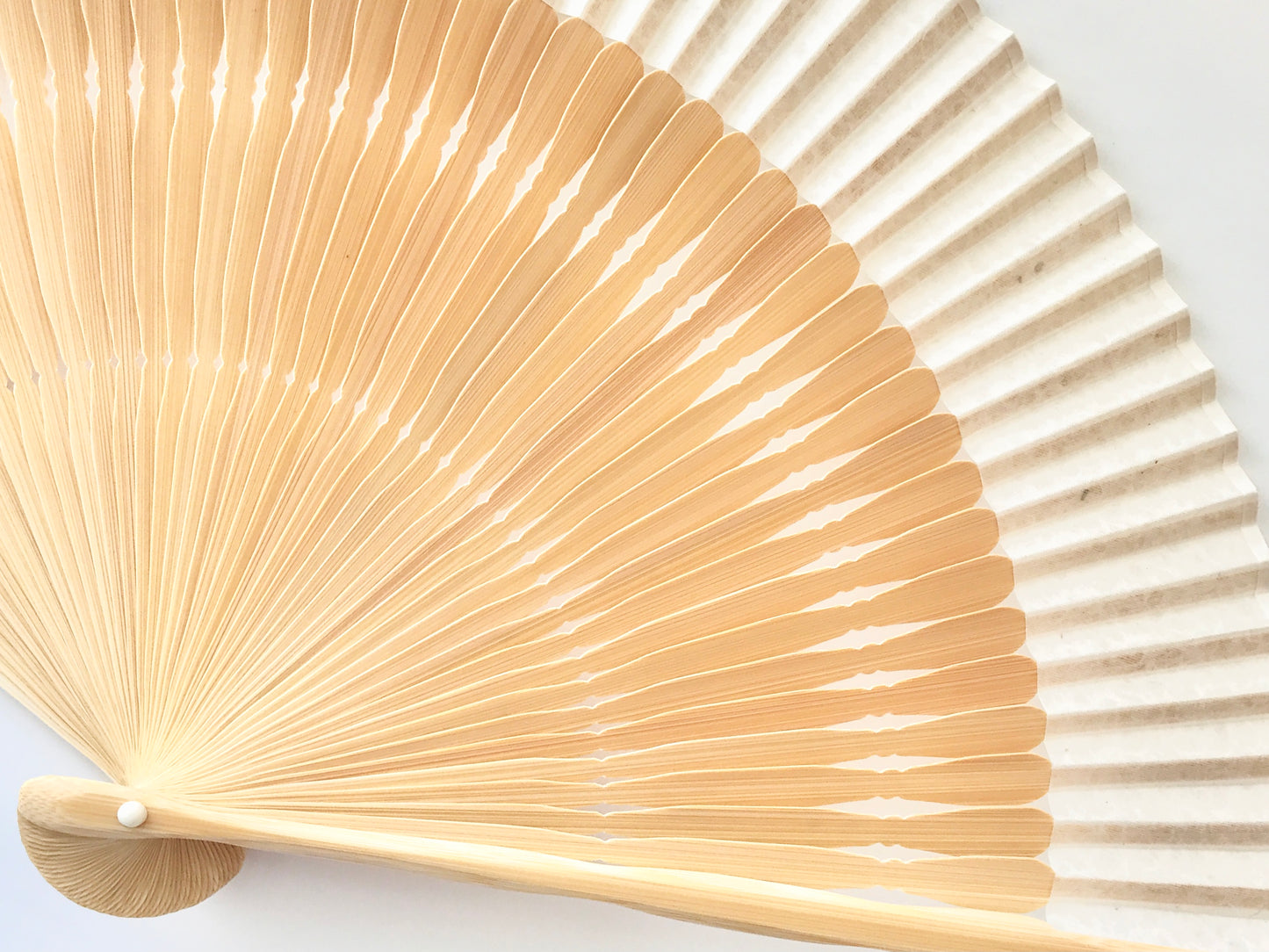 Kyo Sensu / Tanji x MUSUHI Leaf Silhouette (Gold & Silver) #KS-12