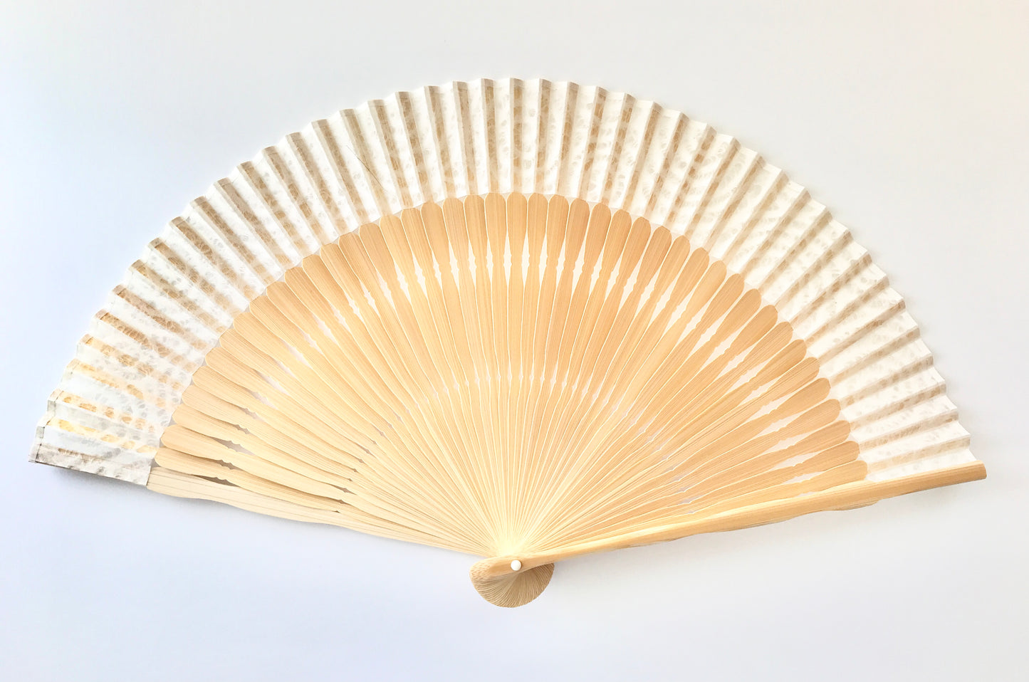 Kyō Sensu (Kyoto Folding Fan) / Tanji x Mino Washi x MUSUHI Whirlpool Design Cutout #KS-14