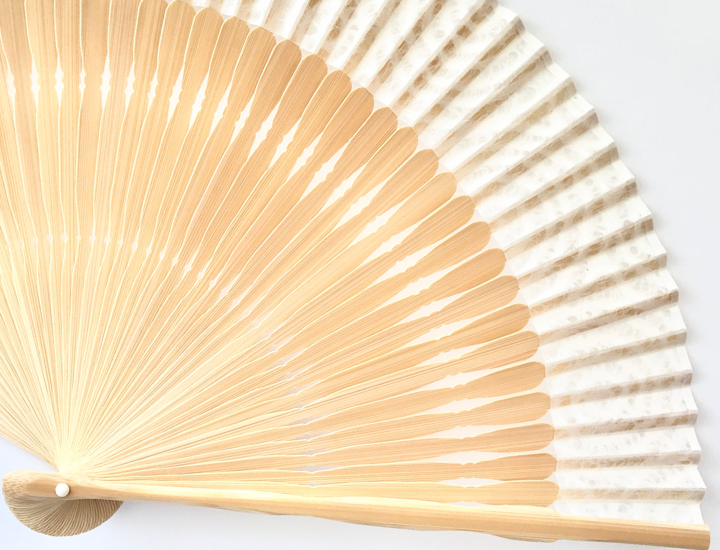 Kyō Sensu (Kyoto Folding Fan) / Tanji x Mino Washi x MUSUHI Whirlpool Design Cutout #KS-14